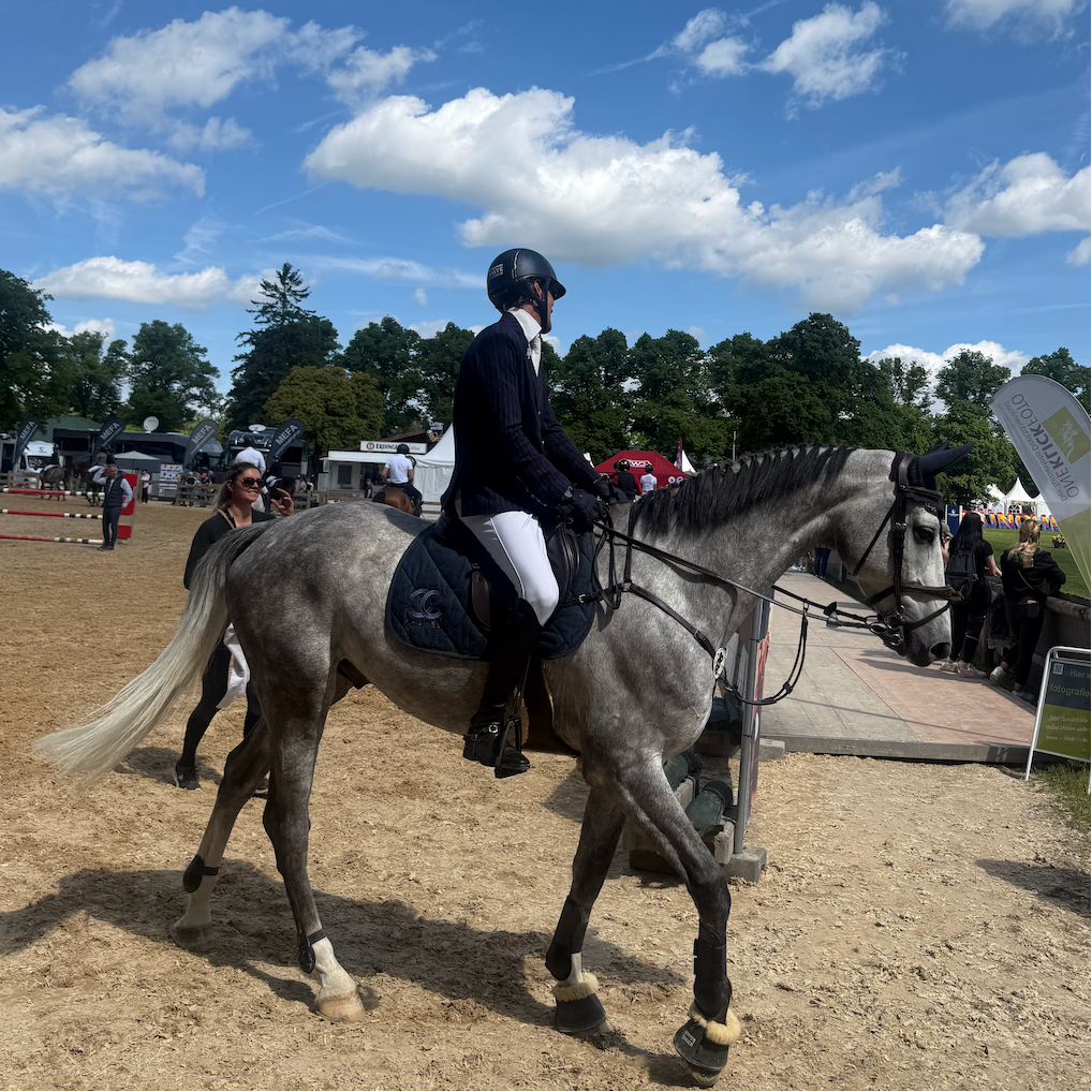 Equestrian Apparel - 01
