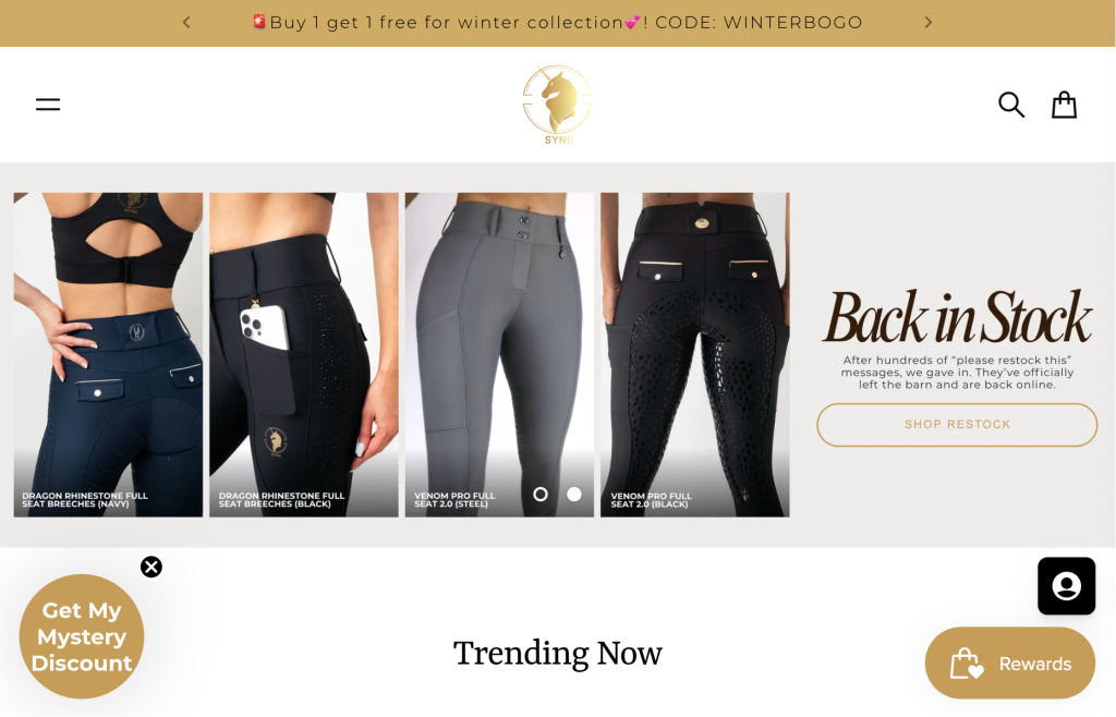 top US Equestrian clothing brands - sync equestrian