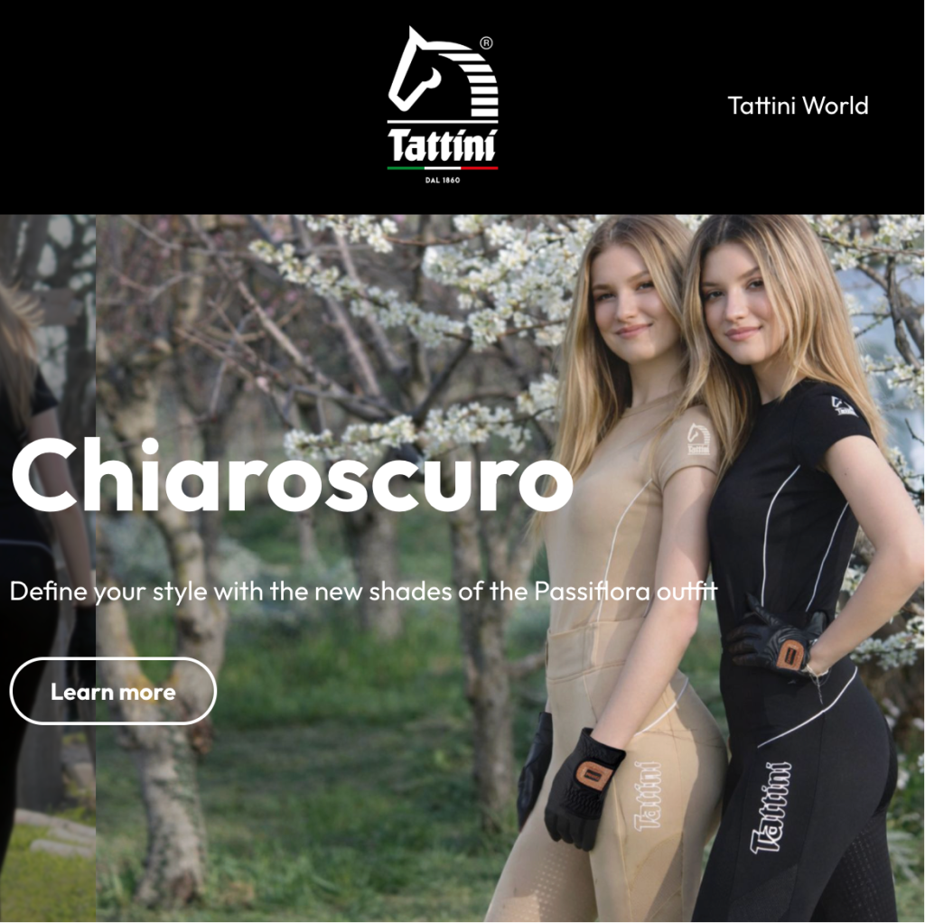 Top 20 Italian Equestrian Brands